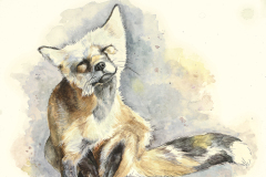 \"A Good Scratch\" 12x12 Watercolor