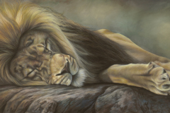 \"A Time for Peace\" Soft Pastel