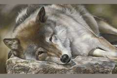 \"A Time to Rest\" Soft Pastel