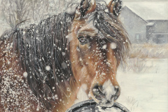 \"A Winter Snack\" 12x16 Soft Pastel
