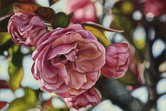 \"Blossom\" 8x10 Oil Painting