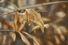 \"Faded\" Oil Paint