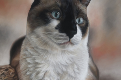 \"Farley\" 11x14 Soft Pastel