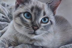 \"Cosmo\" 9x12 Soft Pastel