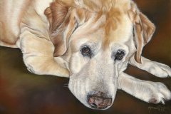 \"Katie\" or \"Soul\" 12x16 Soft Pastel
