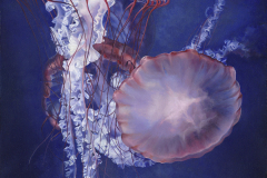 \"Luminous\" Oil Paint
