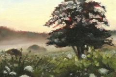 \"Mist in the Lace\" Oil Sketch