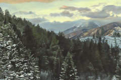 \"Montana\" 16x24 Oil