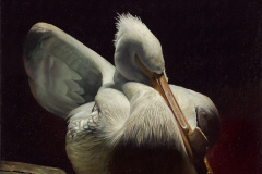 \"Reflection\" Oil Paint