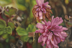 \"Senescence\" Oil Paint