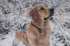 \"Snowflake\" 12x15.5 in Soft Pastel
