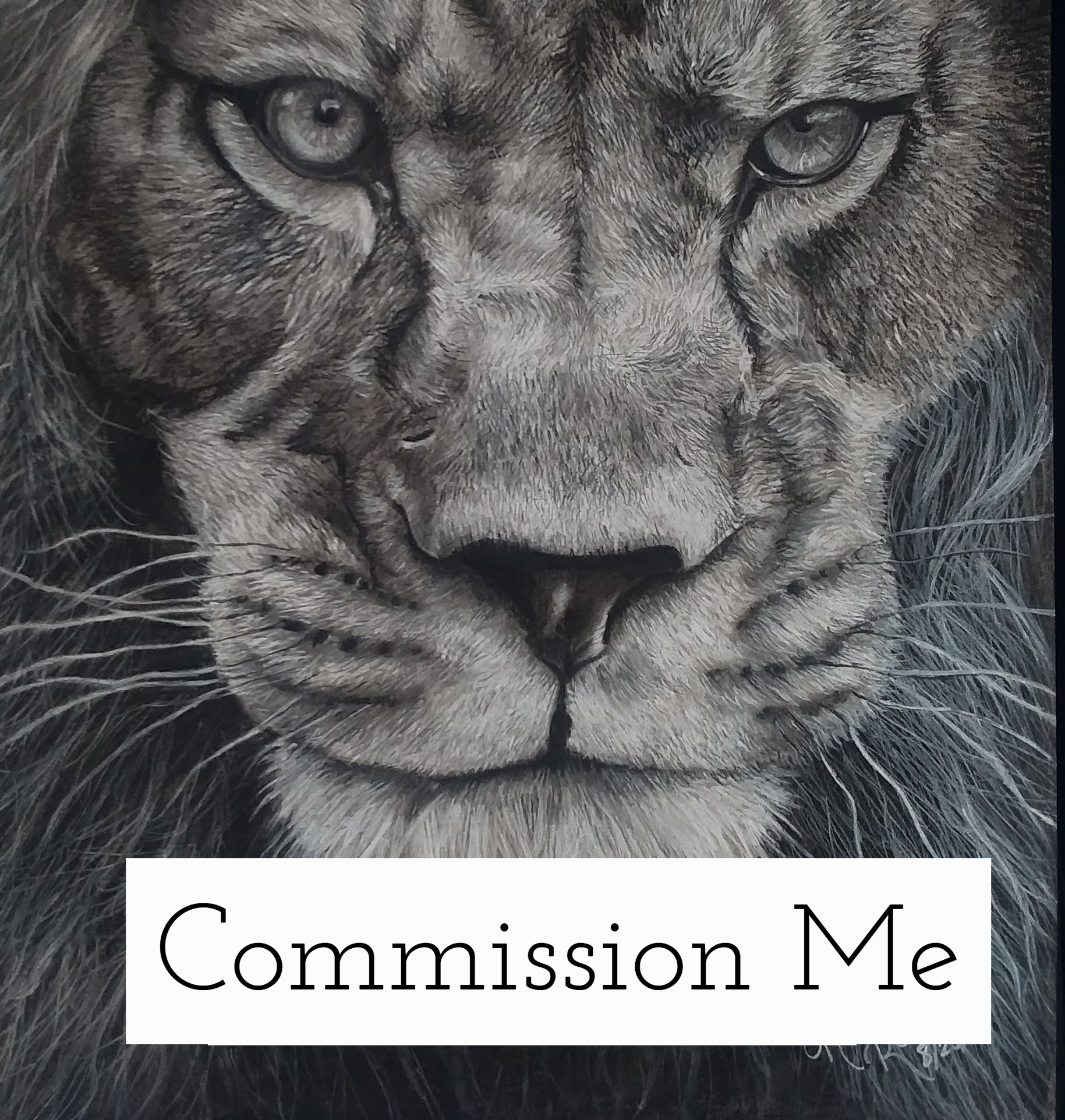 I am currently accepting commissions. If you are interested in